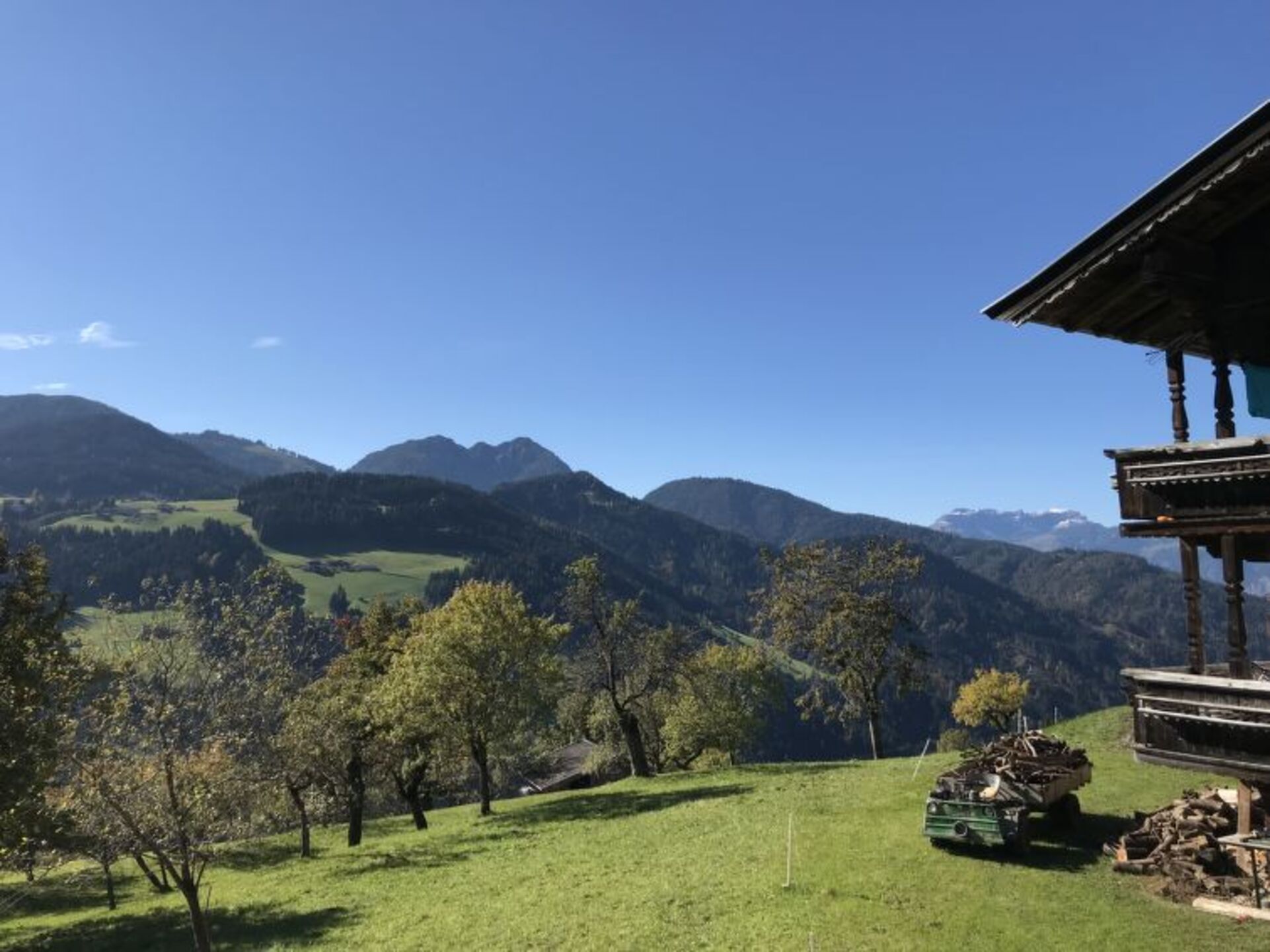 View