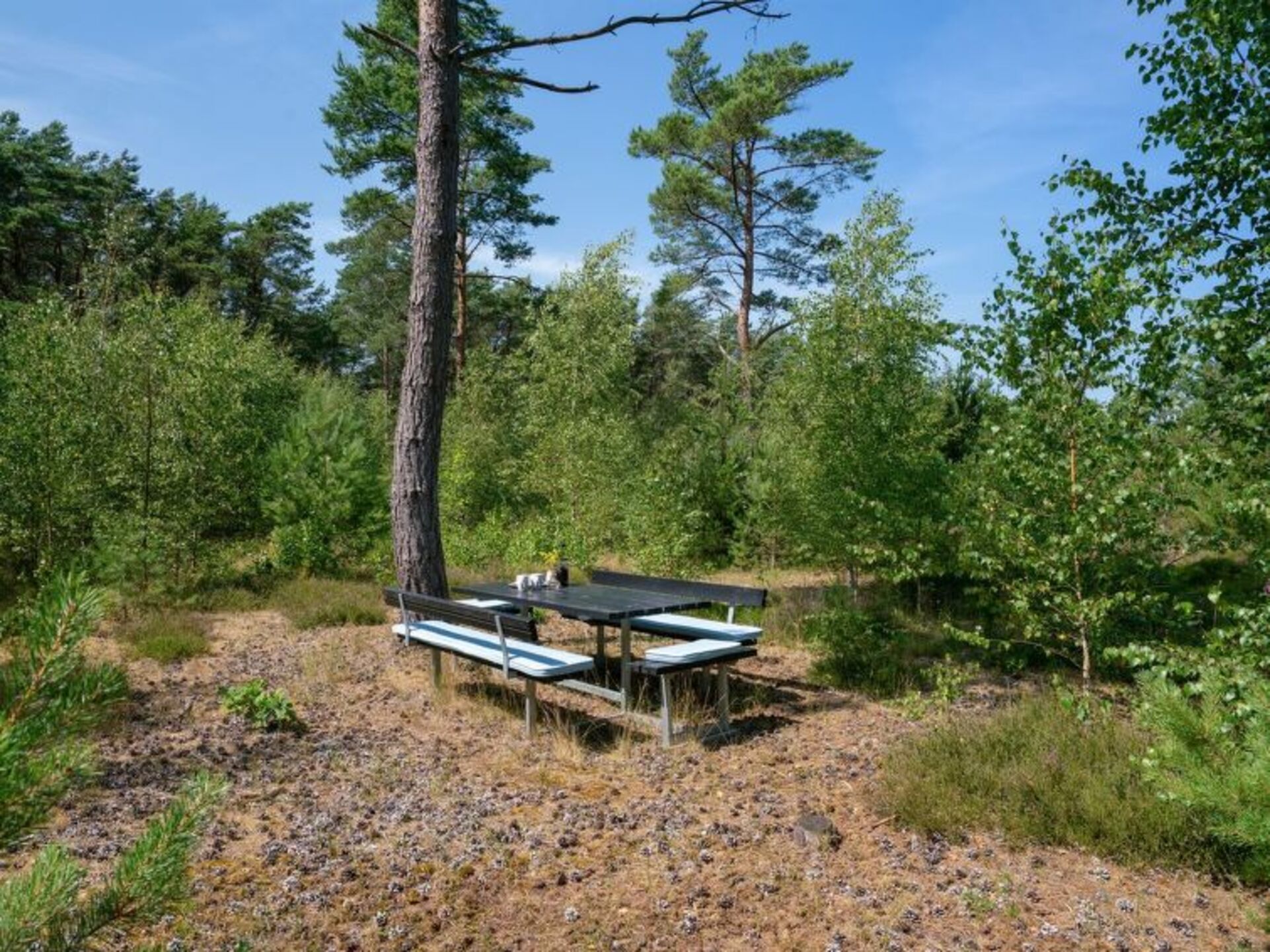 Outdoor