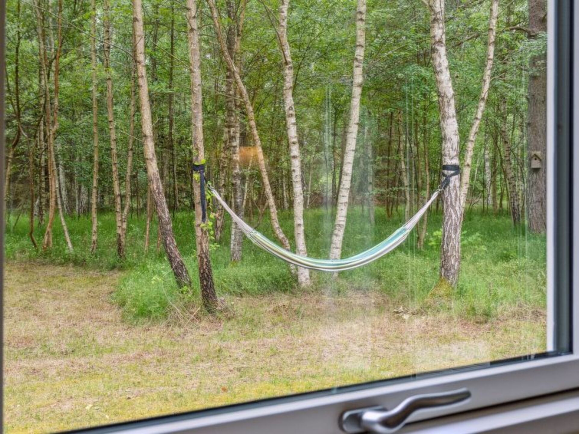 Outdoor