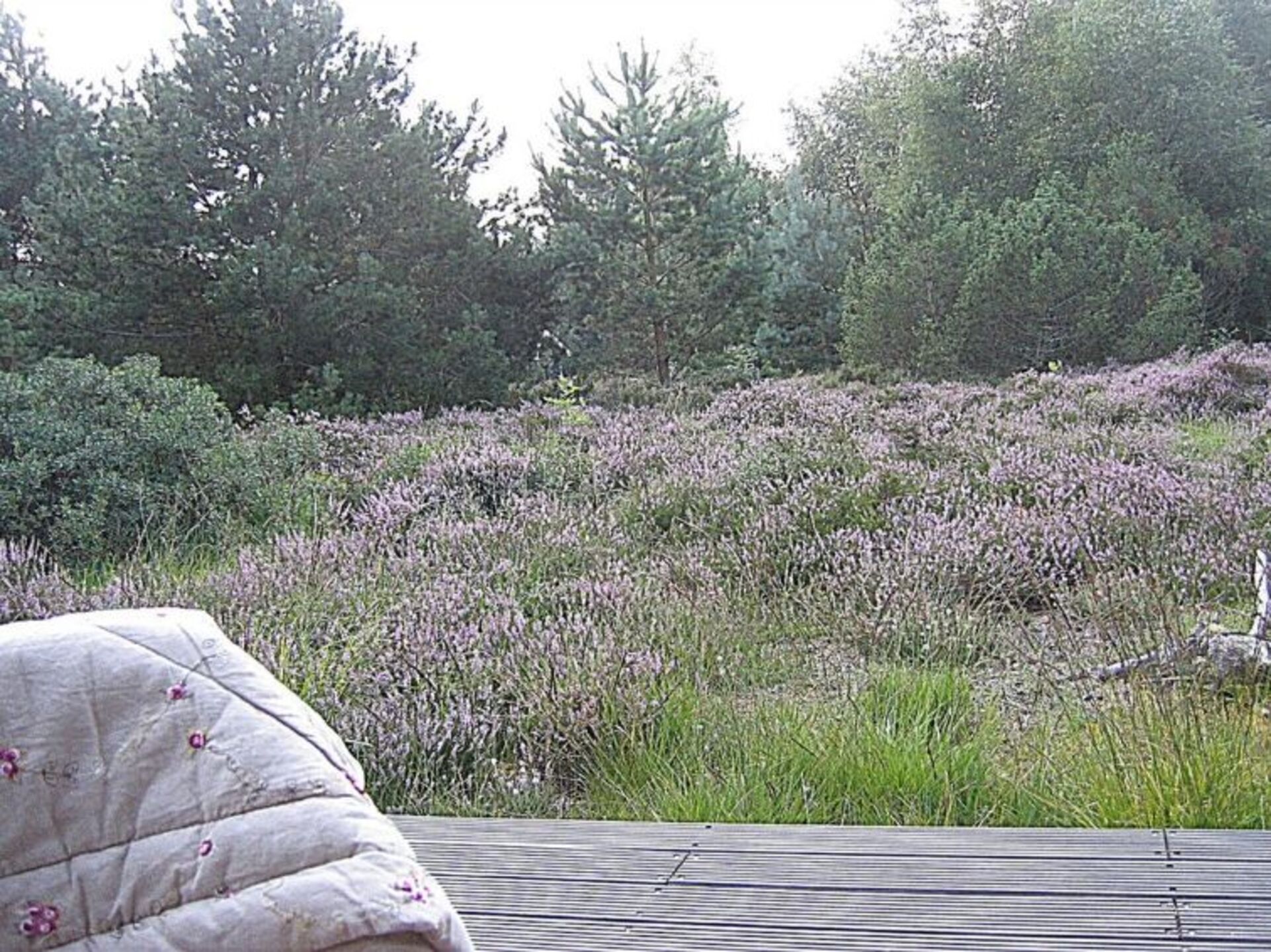Outdoor