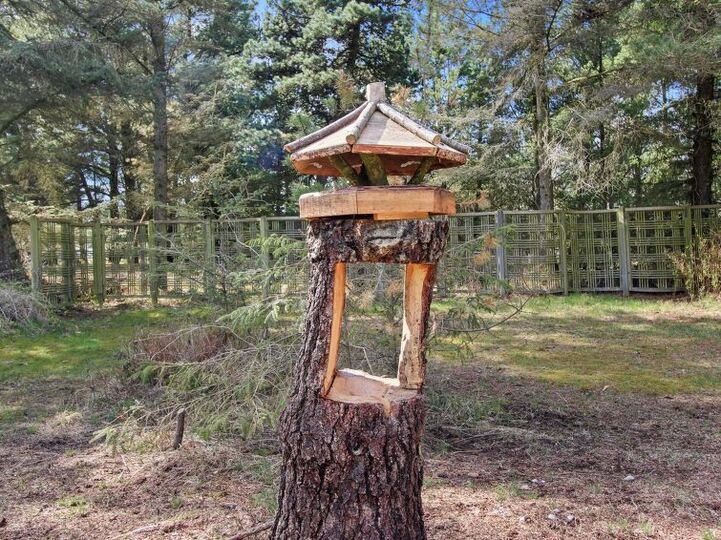 Outdoor