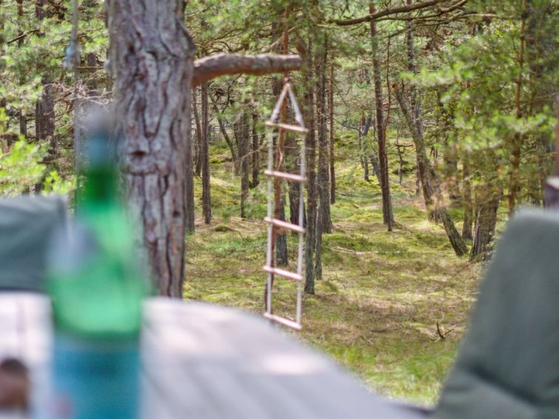Outdoor