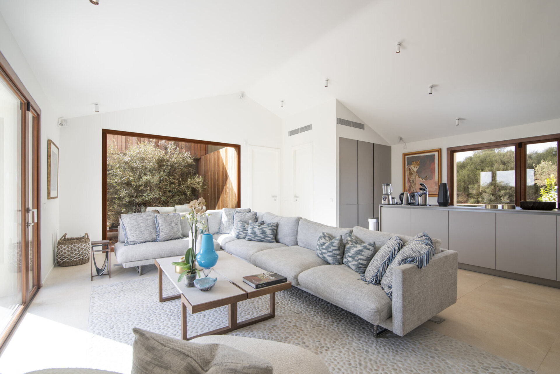 Paradise Found: Finca Villa 1657