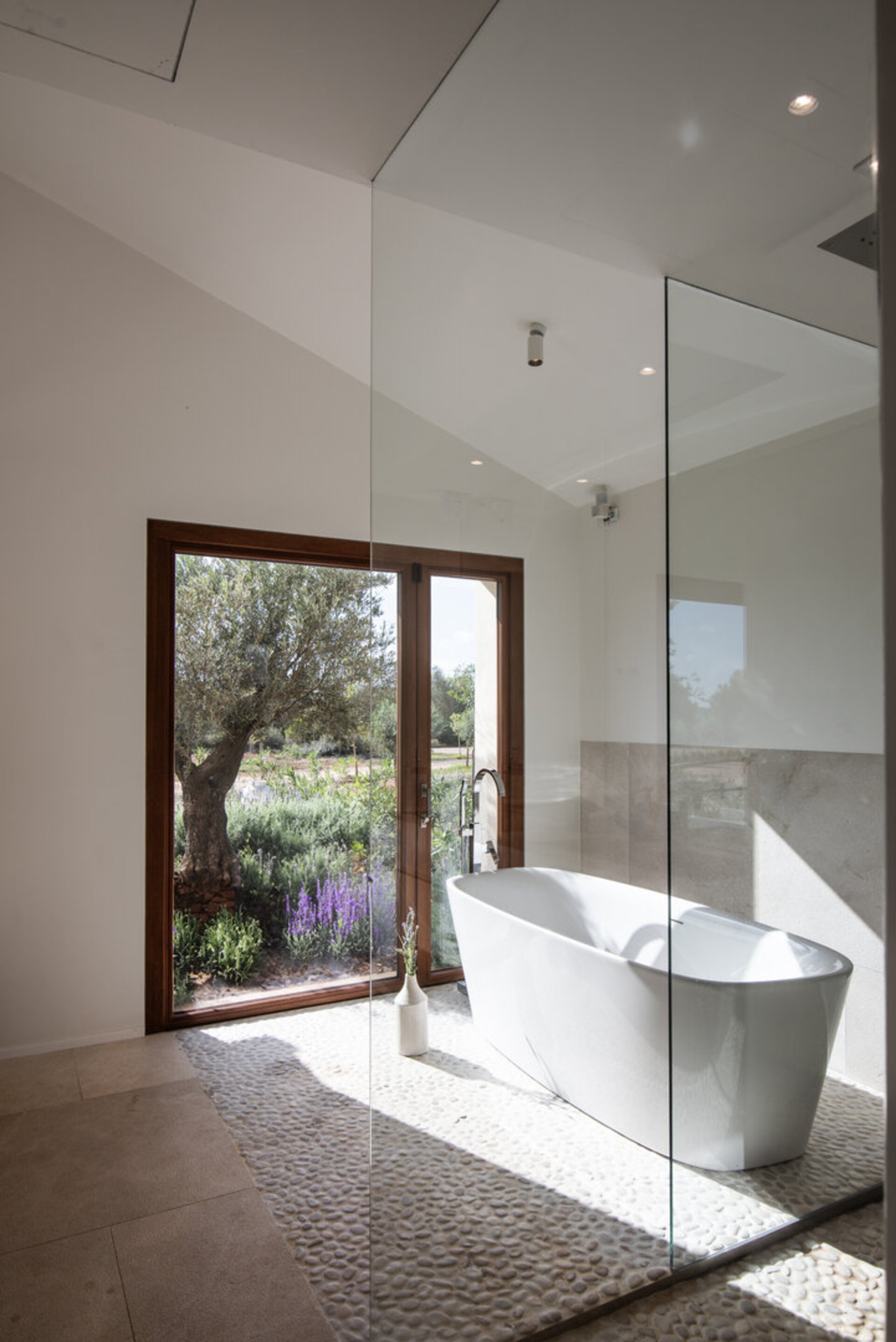Paradise Found: Finca Villa 1657