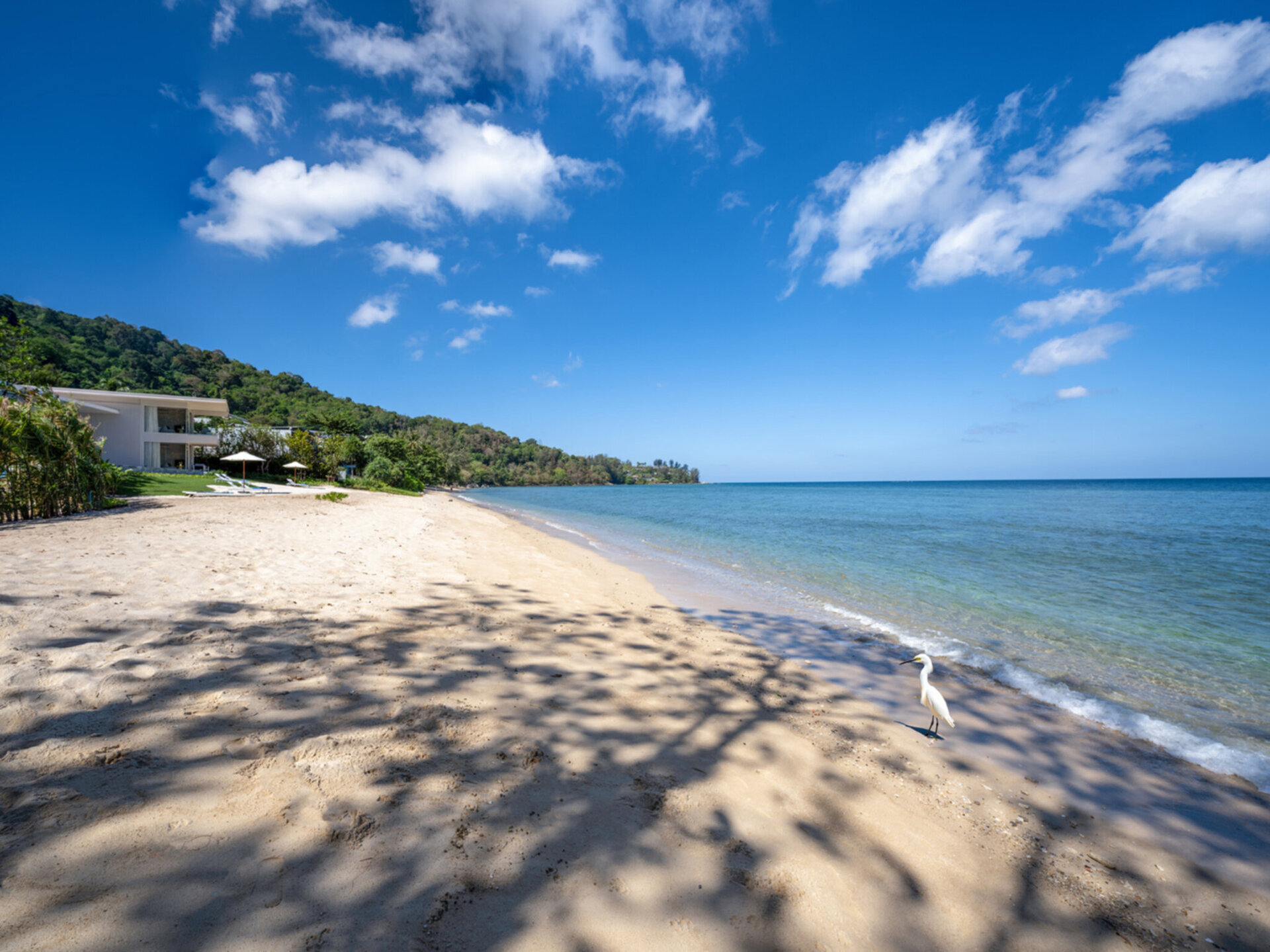 Villa Anda - Scenic beachfront