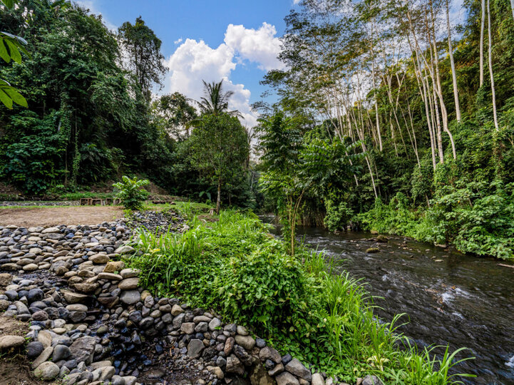 Pala Ubud - Hura Hura