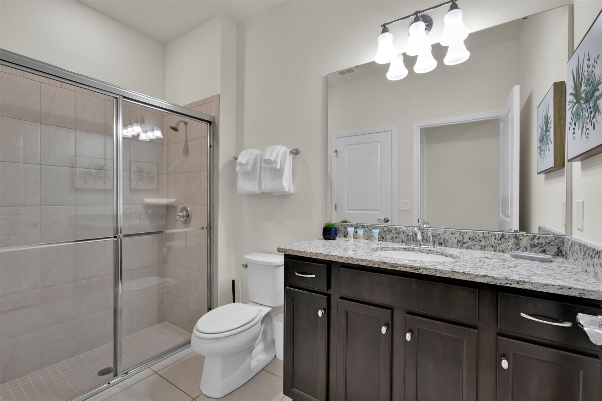 Shared Bathroom 3 Downstairs
Shower