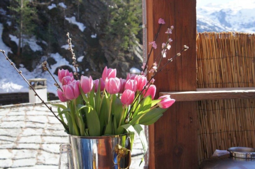 Luxury Alpine Escape, Matterhorn Chalet 1012