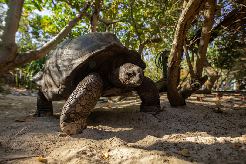 A Hidden Paradise in the Virgin Islands – 1001