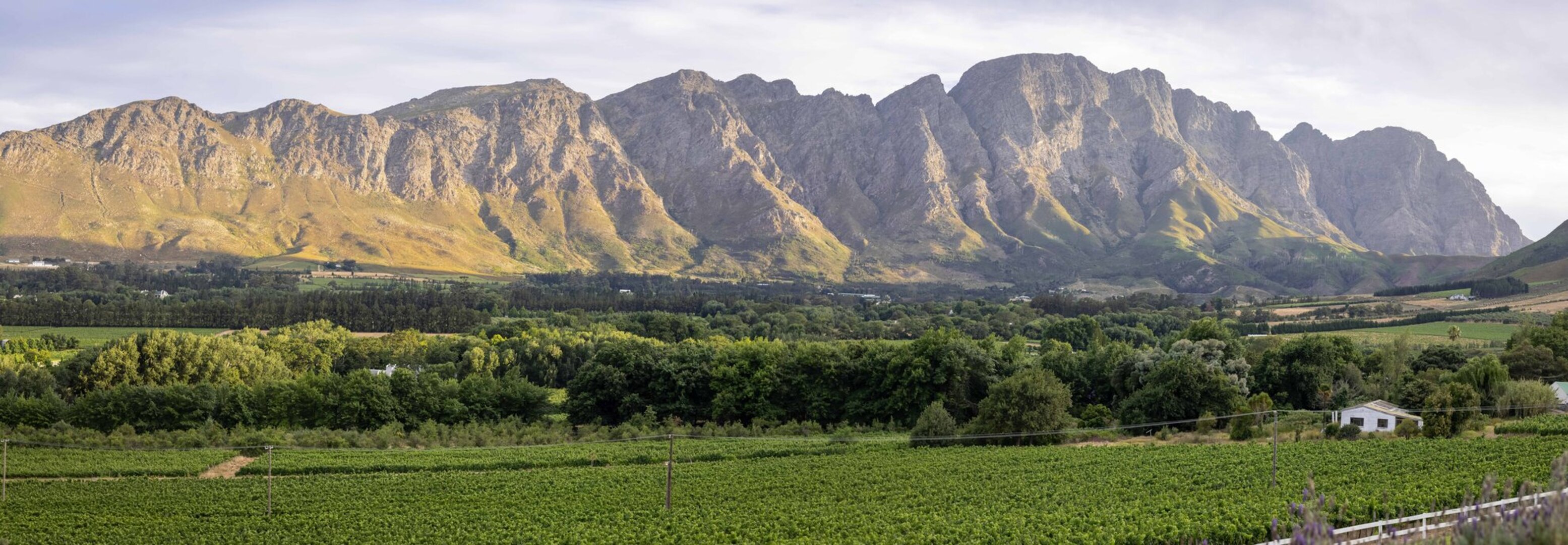 Breathtaking Views & Tranquil Luxury at Mont Rochelle, 1027