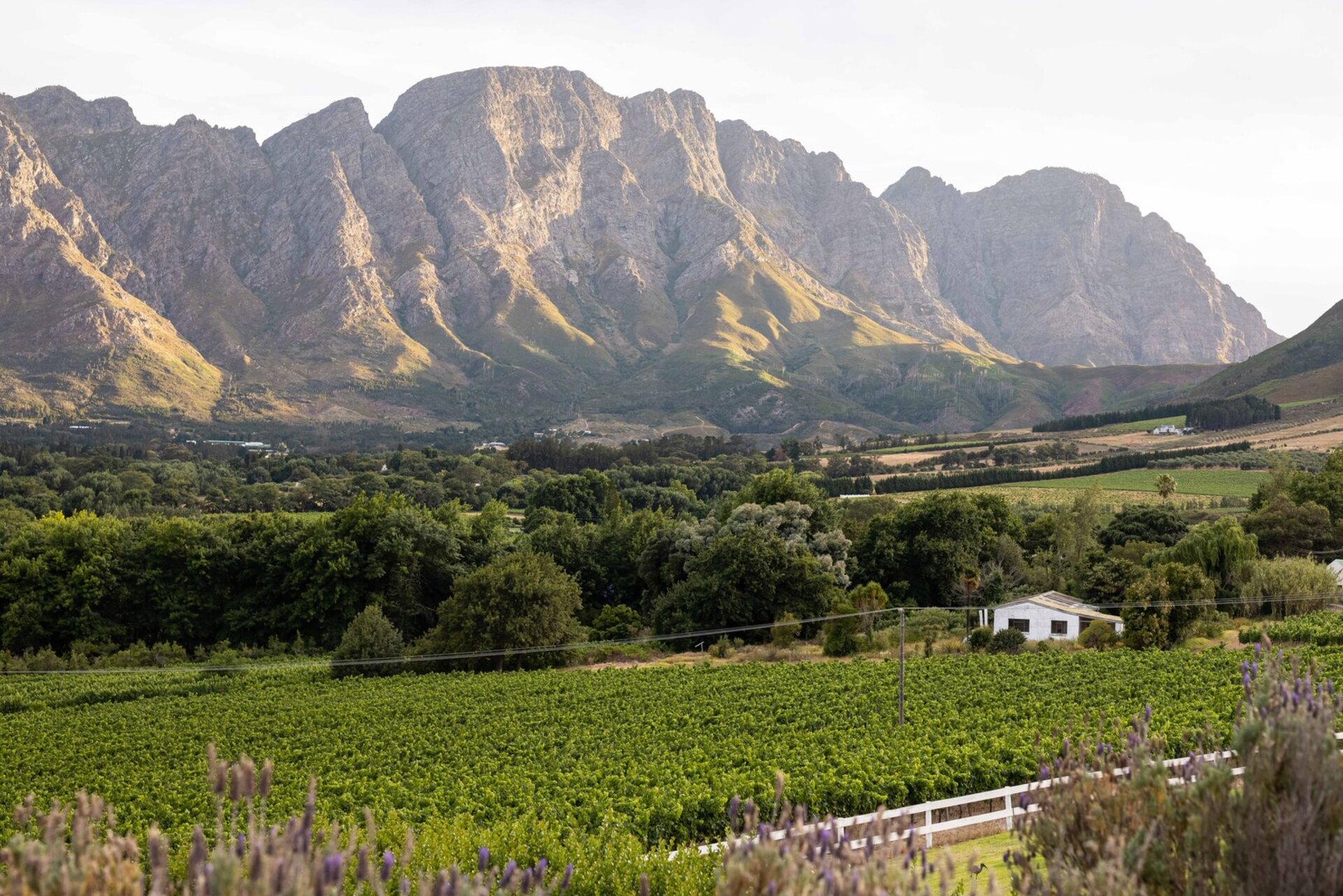 Breathtaking Views & Tranquil Luxury at Mont Rochelle, 1027