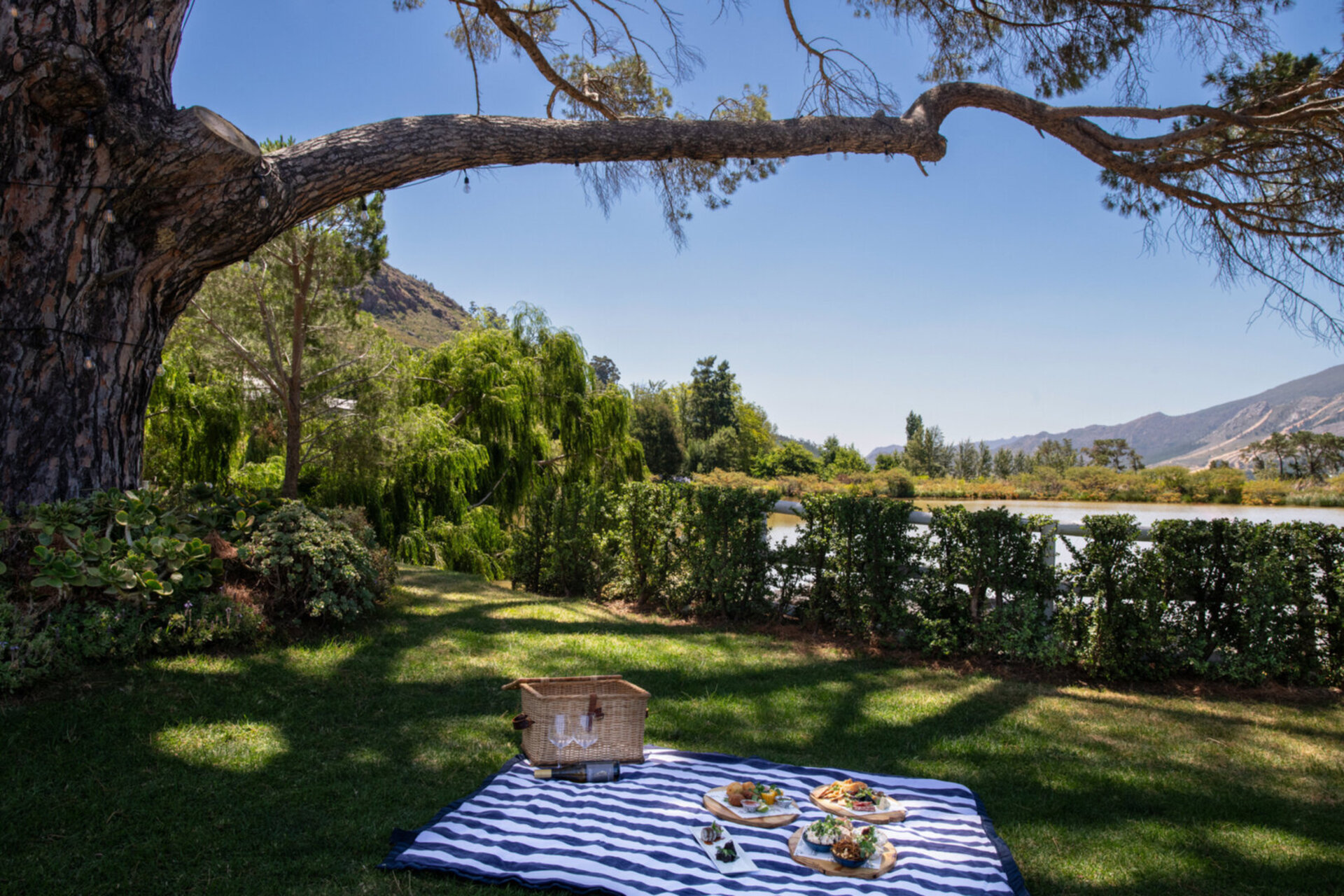 Mont Rochelle – A Luxurious Escape in Franschhoek, 1028