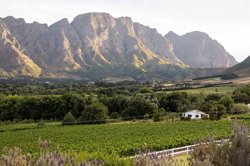 Mont Rochelle – A Luxurious Escape in Franschhoek, 1028