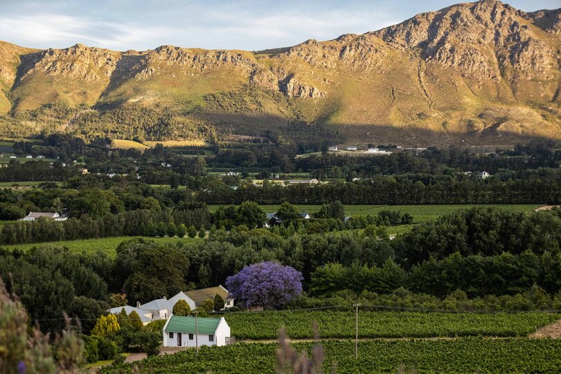 Mont Rochelle – A Luxurious Escape in Franschhoek, 1028