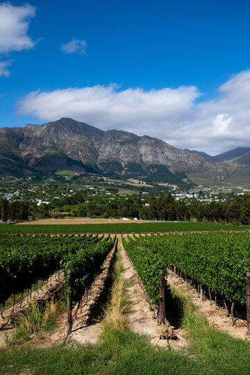 Mont Rochelle – A Luxurious Escape in Franschhoek, 1028