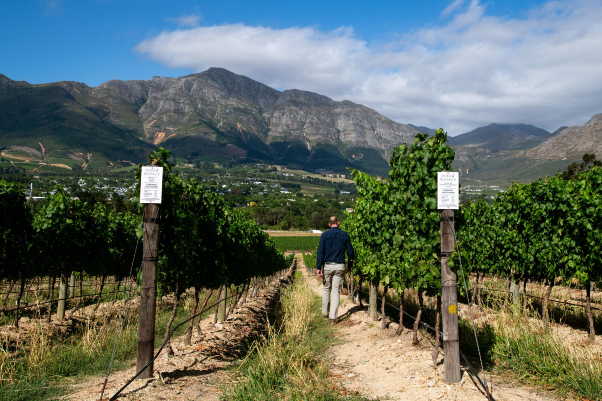 Mont Rochelle – A Luxurious Escape in Franschhoek, 1028