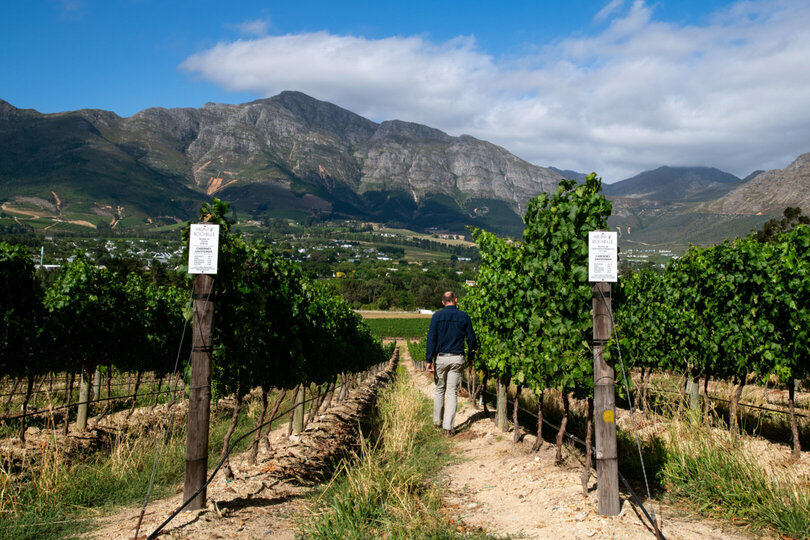 Mont Rochelle – A Luxurious Escape in Franschhoek, 1028