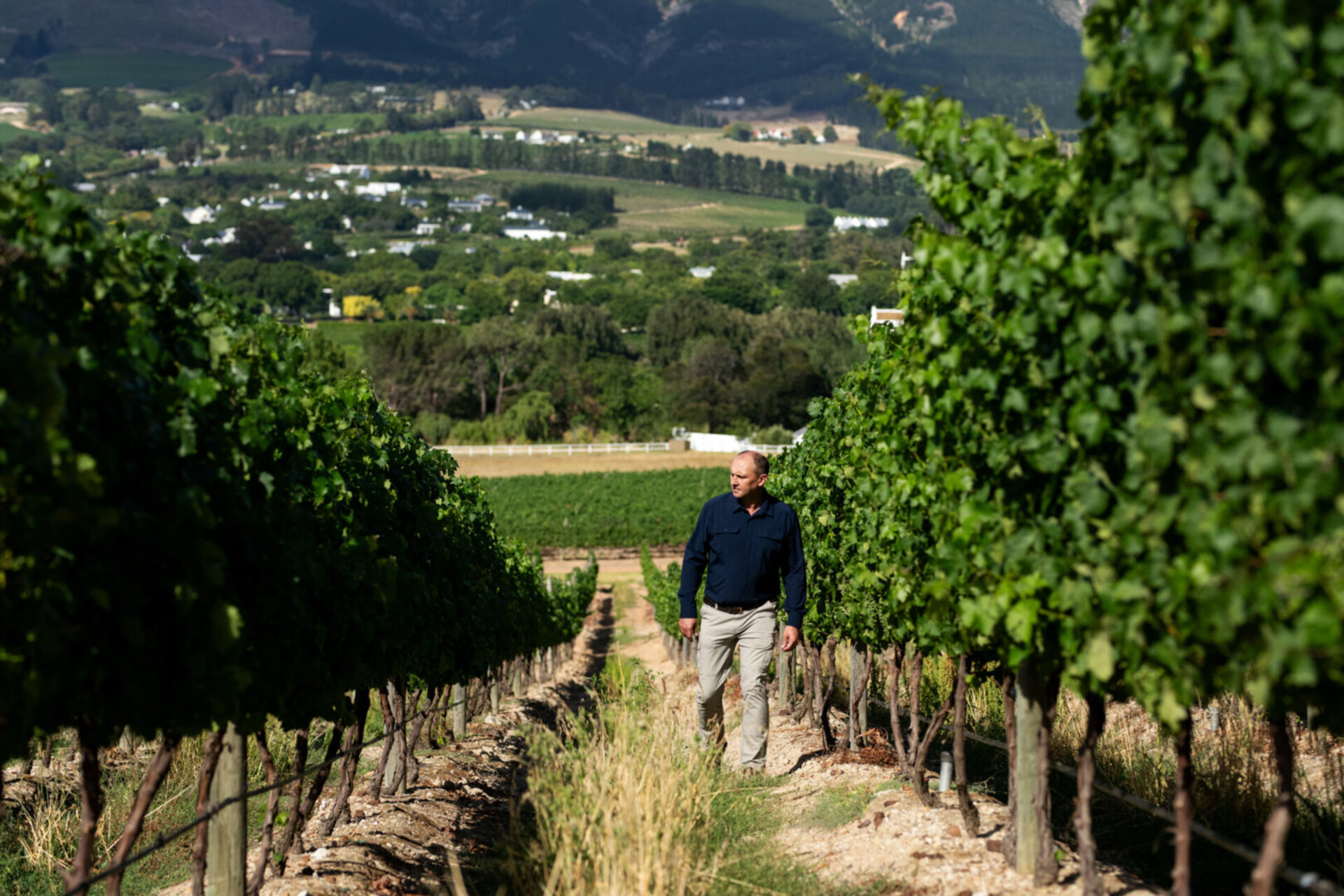 Mont Rochelle – A Luxurious Escape in Franschhoek, 1028
