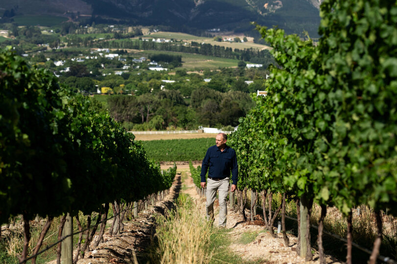 Mont Rochelle – A Luxurious Escape in Franschhoek, 1028