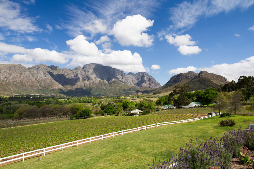 Mont Rochelle – A Luxurious Escape in Franschhoek, 1028