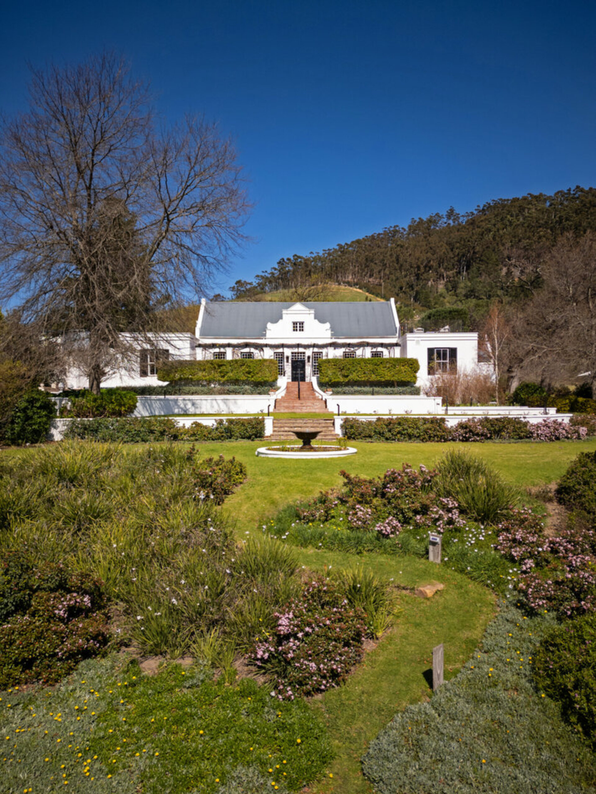 Mont Rochelle – A Luxurious Escape in Franschhoek, 1028