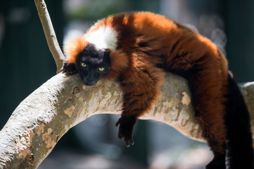 Oceanfront Bliss 1011