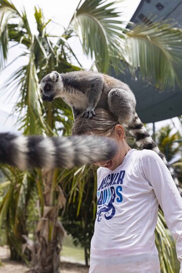Ocean Horizon Villa 1013