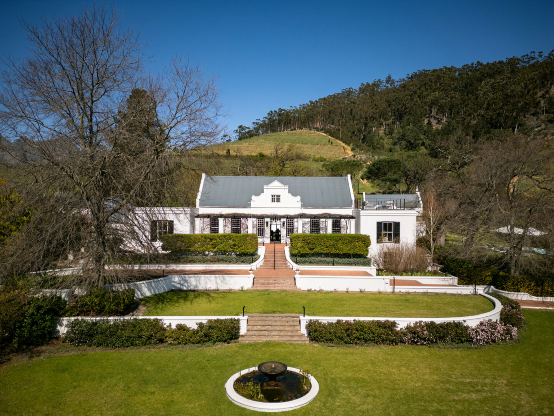 Viognier Room 1063
