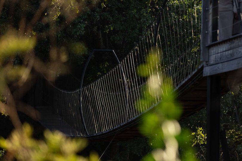 Elevated Treehouse Retreat with Bush Views 1056
