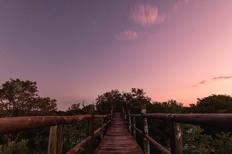 Elevated Treehouse Retreat with Bush Views 1056