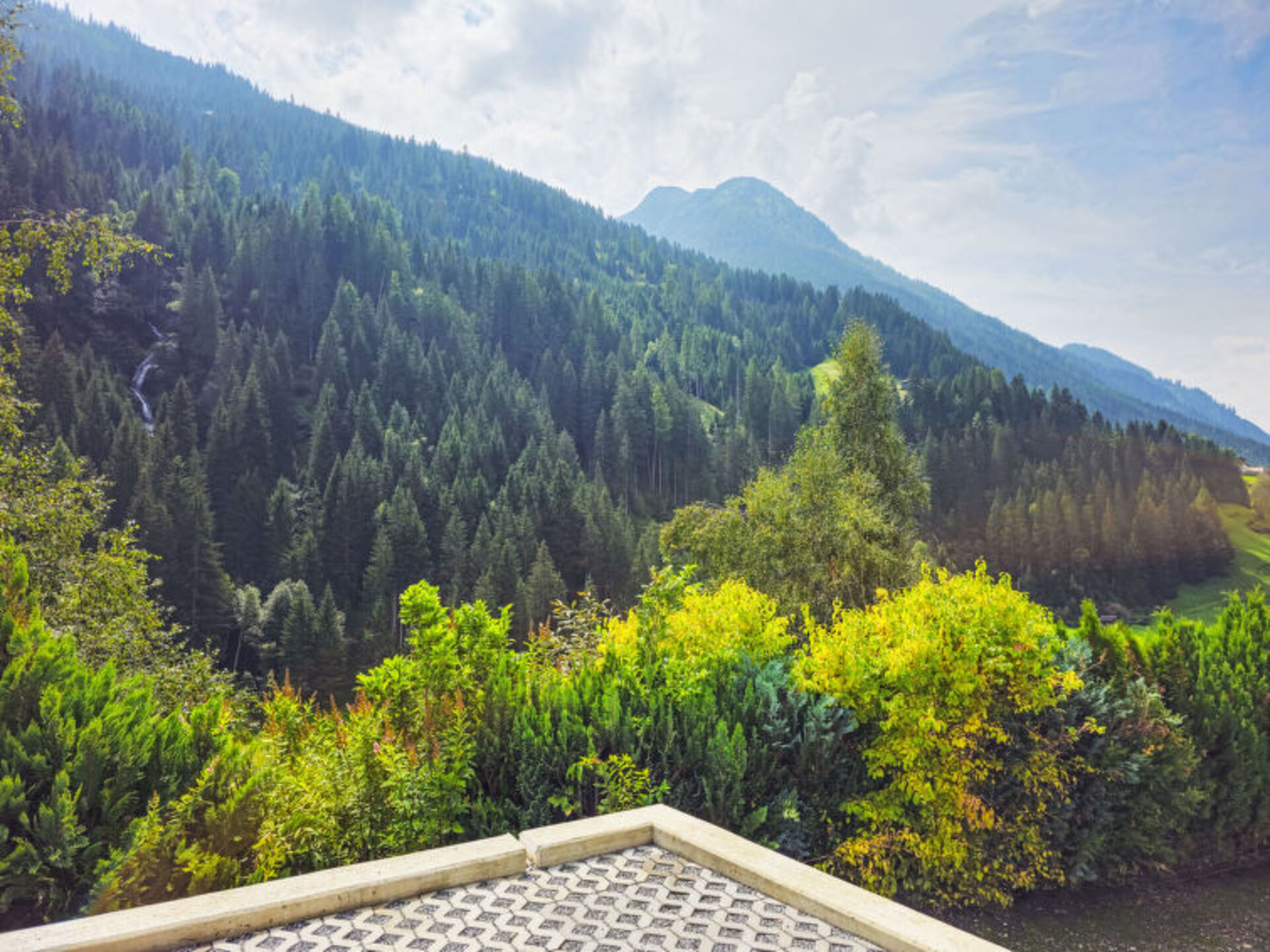 View