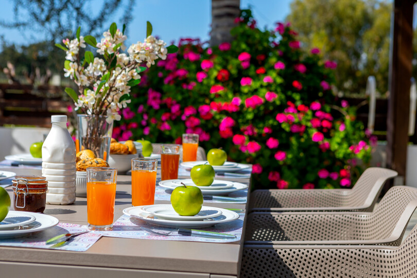 5 Star Villa Cape Greco Palm Oasis - Private Garden Retreat