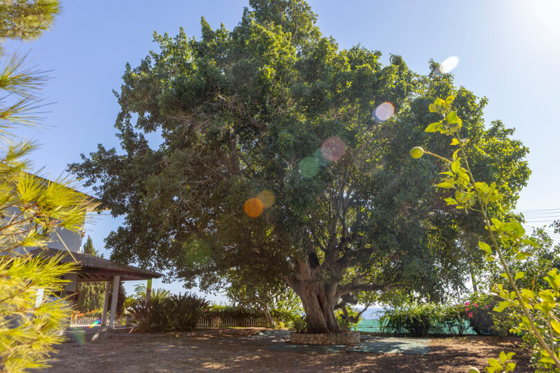 5 Star Villa Sycamore Seaview - Tranquil Countryside Escape.