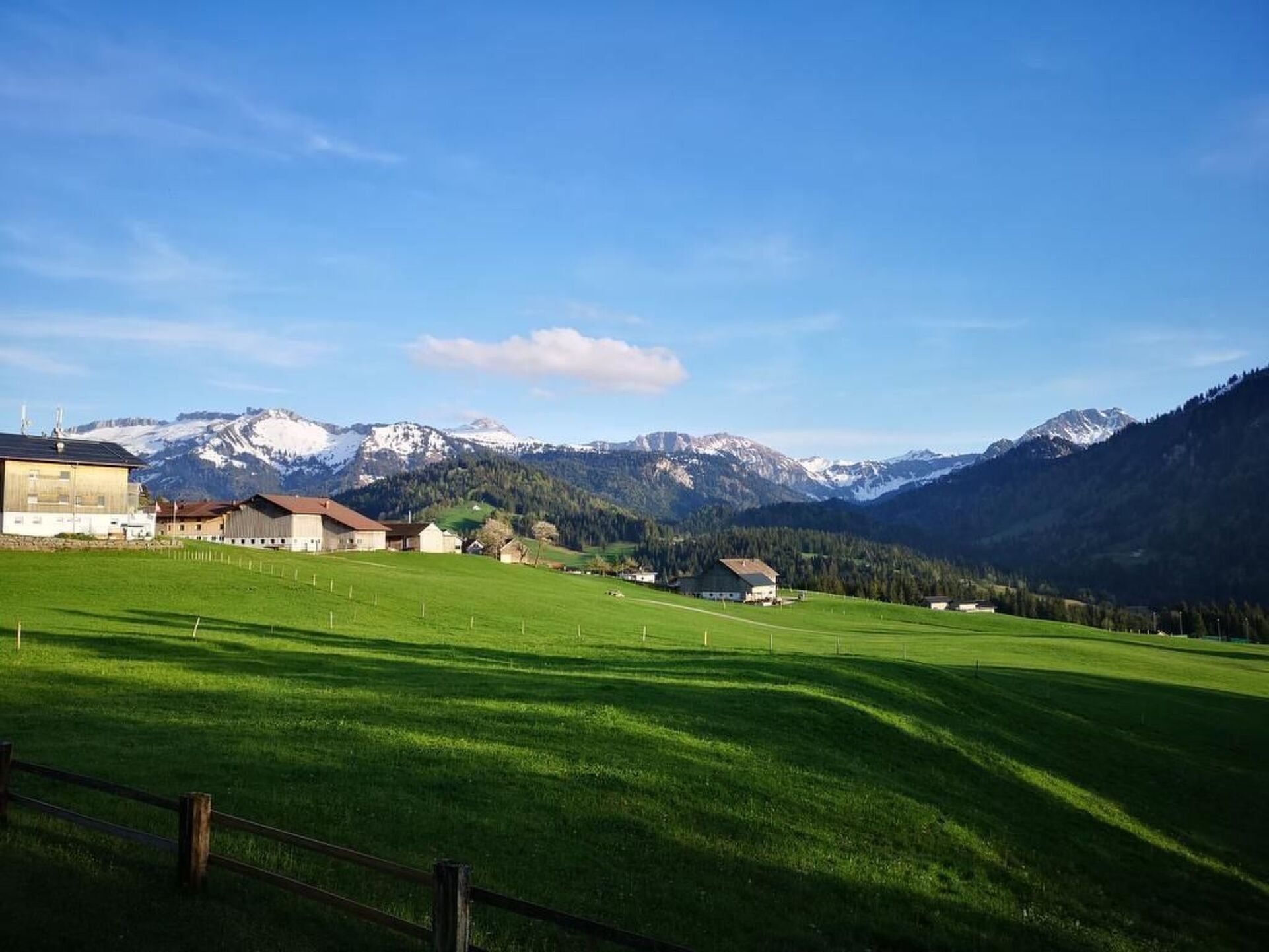 View
