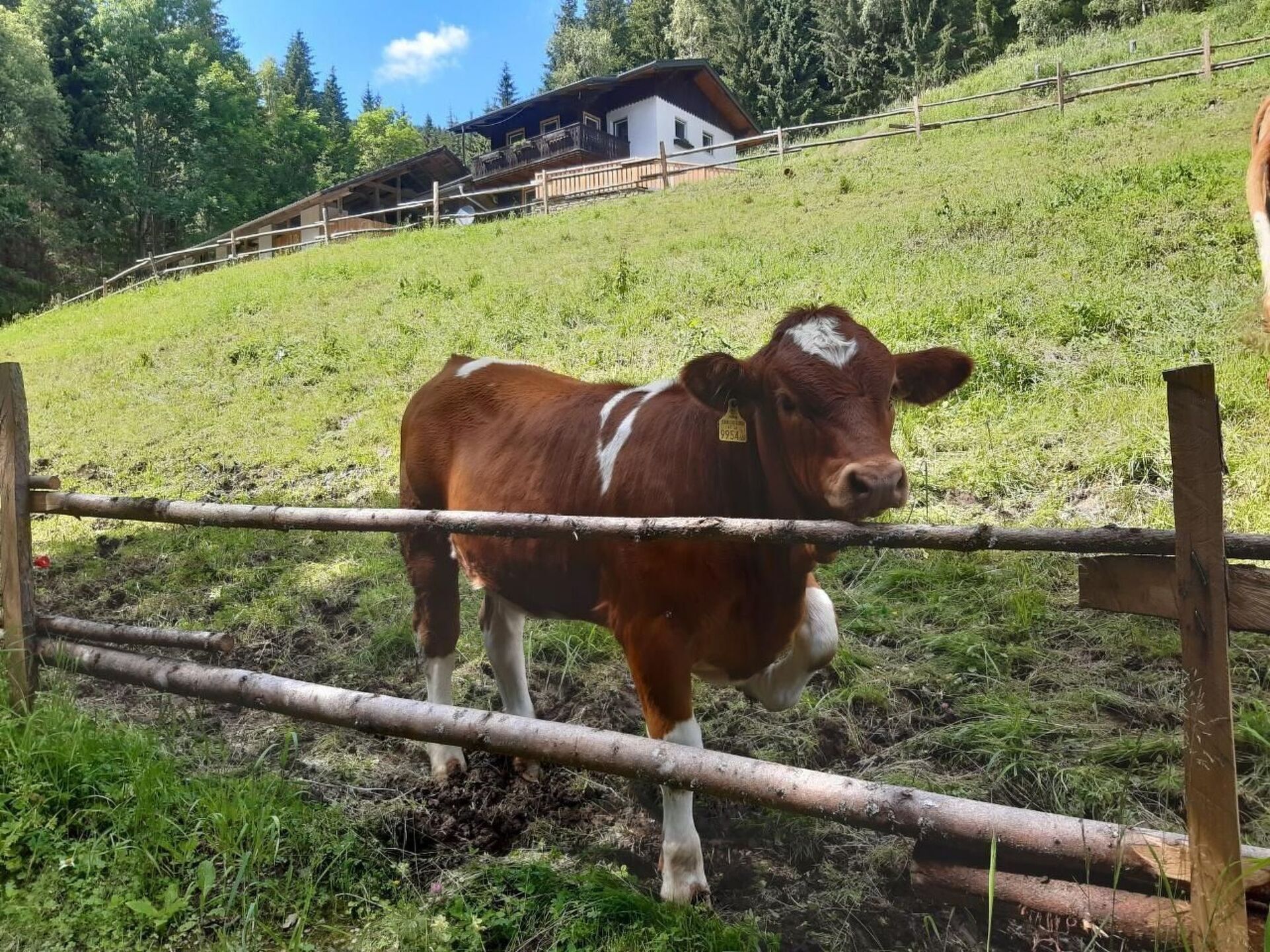 2-Bed House in Sankt Veit an der Glan, Sleeps 5, 1048