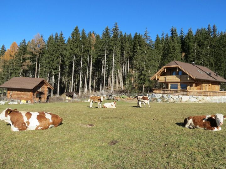 Stunning 3-Bed House in Tamsweg, Sleeps 2, 1110