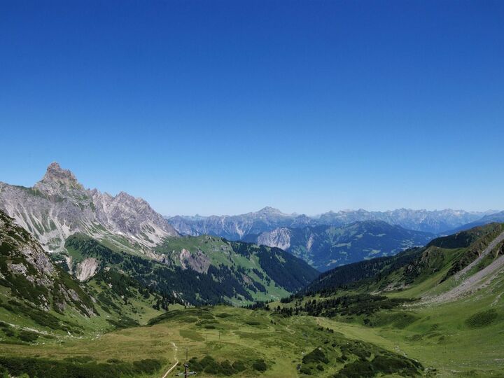 View