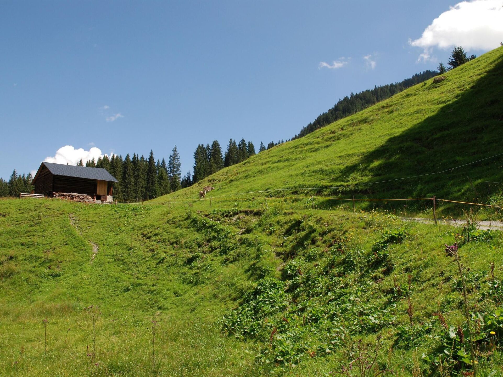 3-Bed Apartment in Bludenz, Sleeps 10, 1031