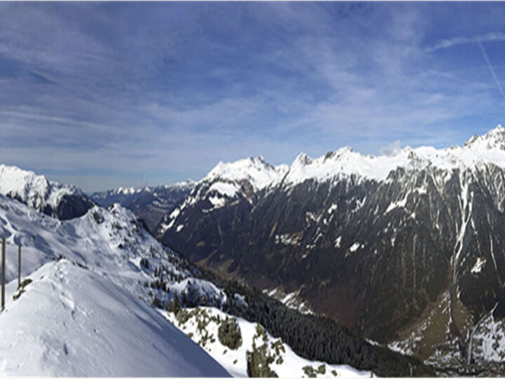 View