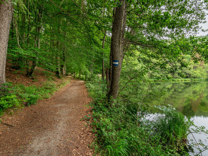 Place
