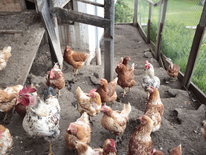 Outdoor