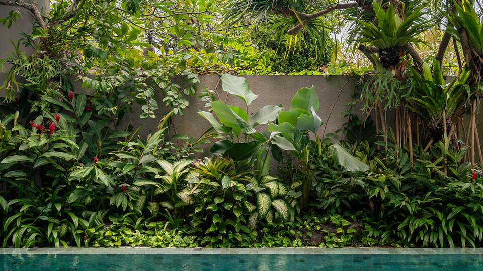 5 Star Swan Villa R – Boho Garden Escape