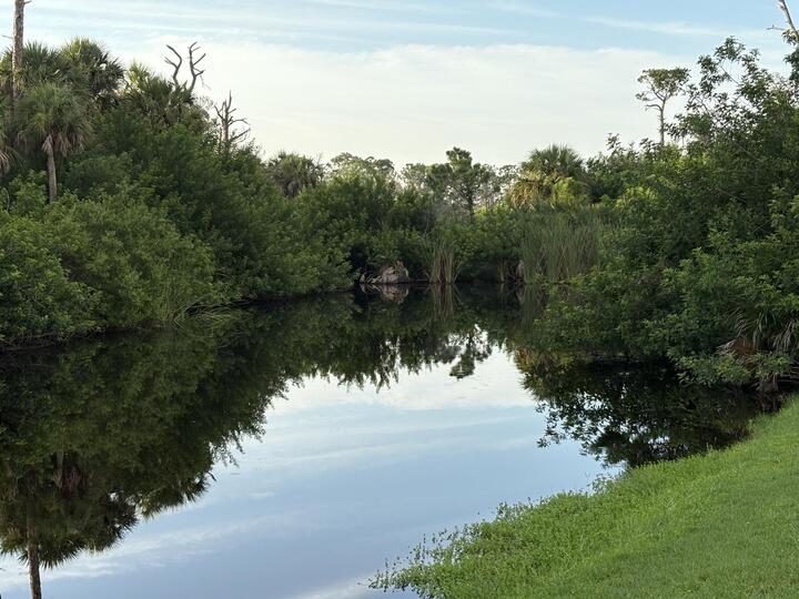 Small canal behind home