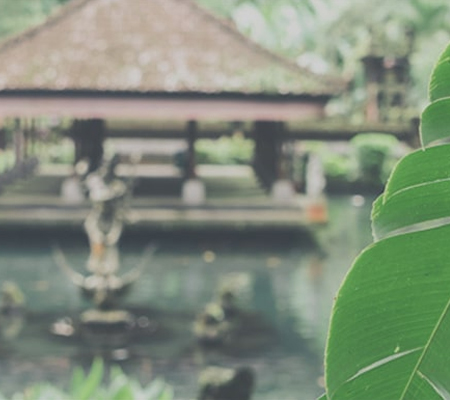 Private Bali villas surrounded by nature